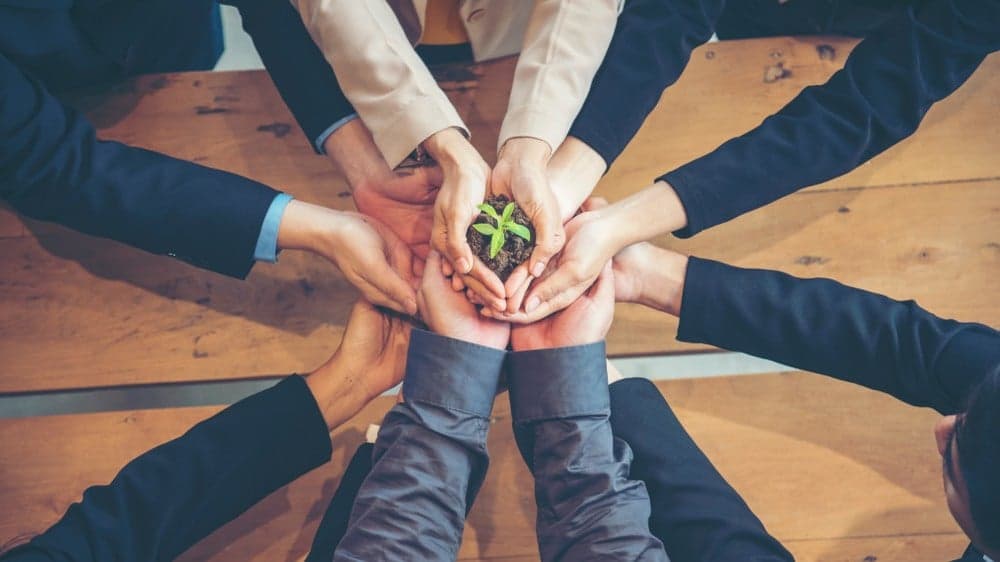 Building a Sustainable Workplace Culture Sets Companies on a Path of Success and Continued Growth Building a Sustainable Workplace Culture Sets Companies on a Path of Success and Continued Growth