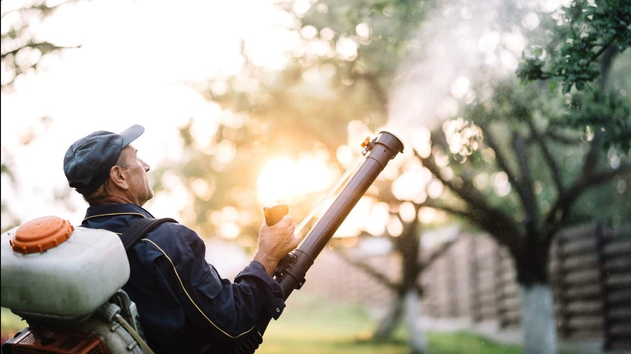 Fighting Against Pest-ilent Problems Fuels Business for Outdoor Home Services Brands Fighting Against Pest-ilent Problems Fuels Business for Outdoor Home Services Brands