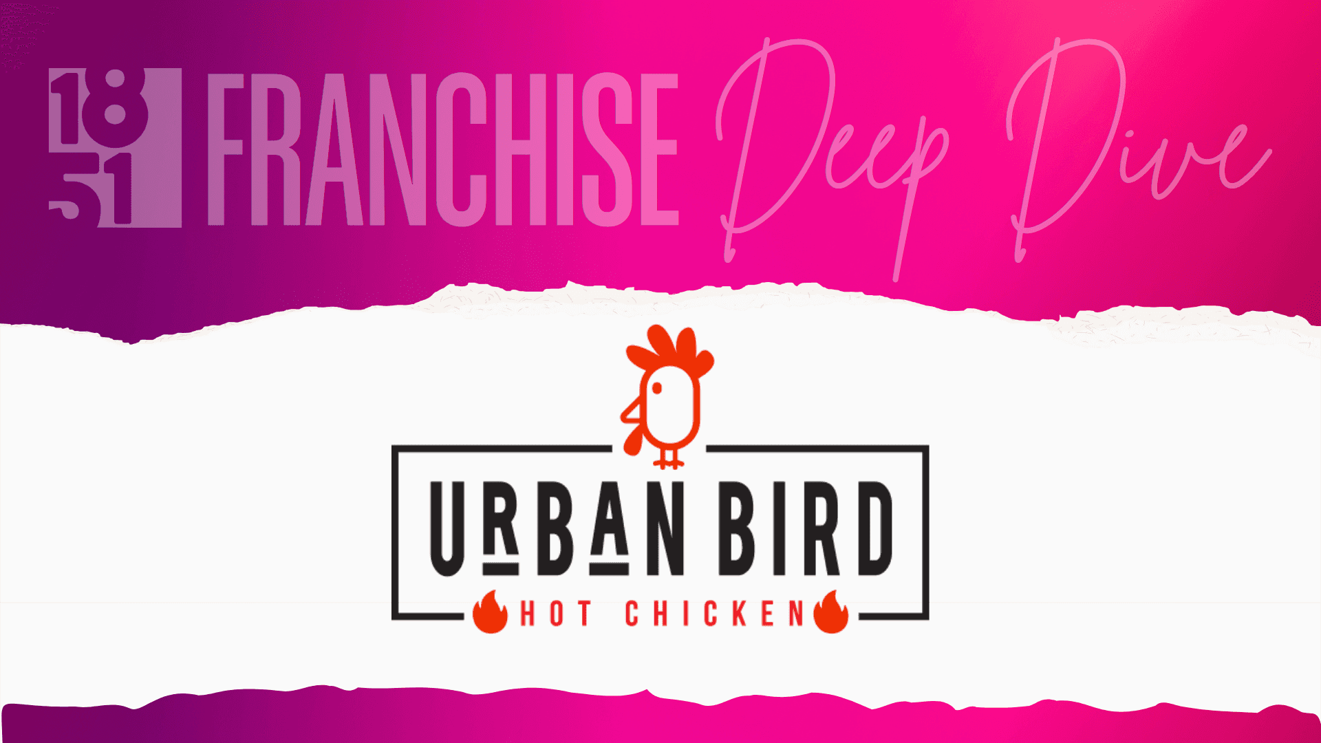 Urban Bird Hot Chicken Franchise Costs, Fees, Profit and Data for 2026