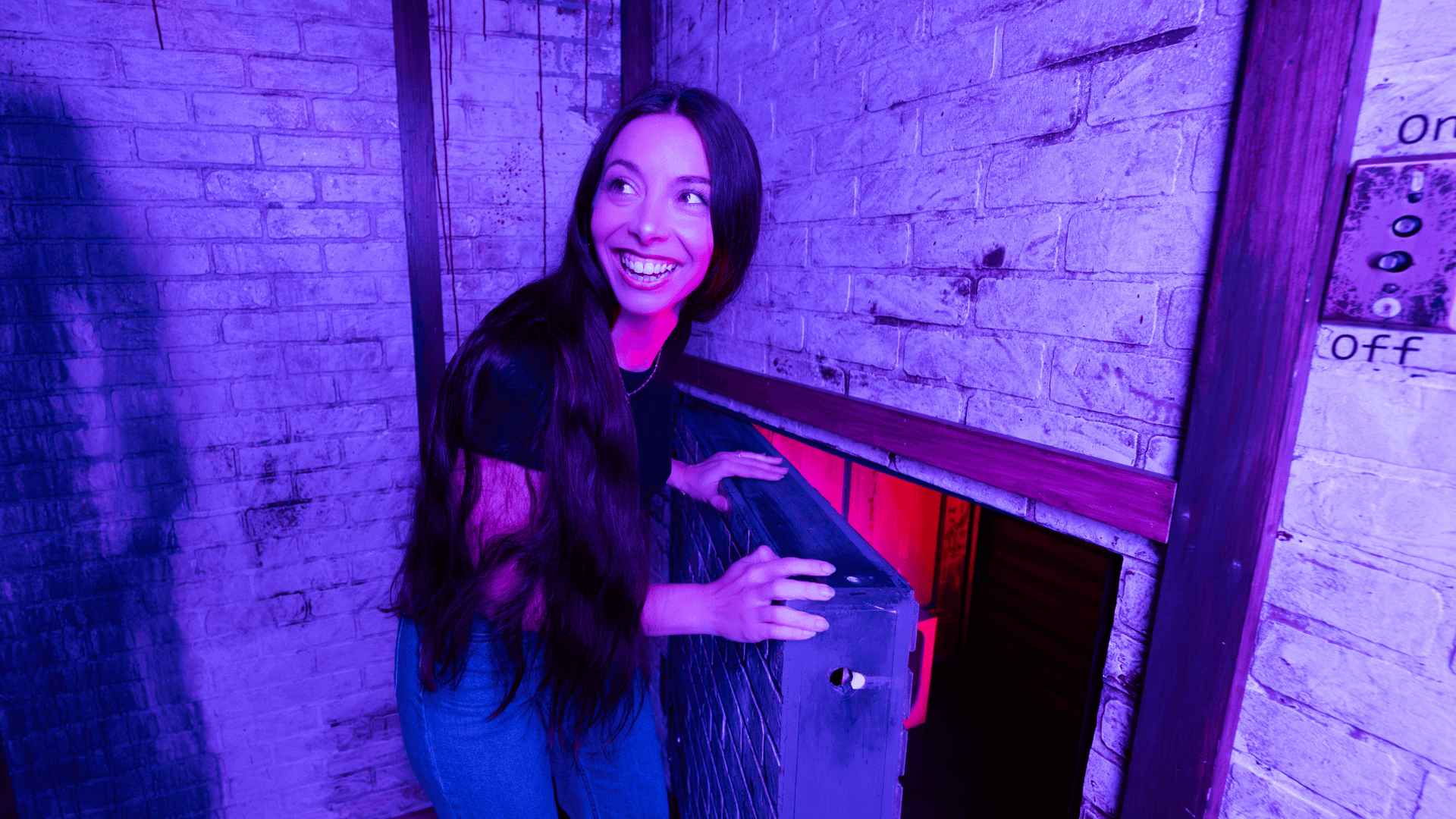 What It Costs to Open an Escapology and Why Operators Are Betting on the Experience Economy