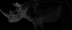 RHINO