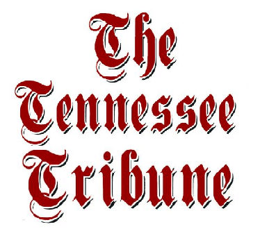 Media Logo 6