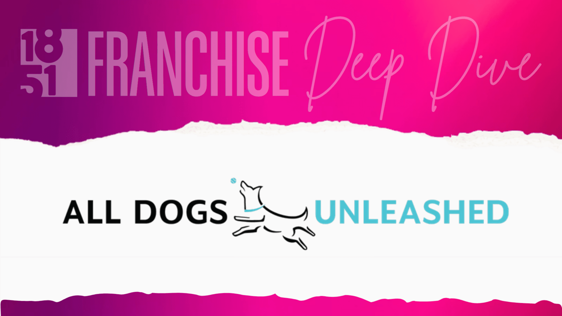 All Dogs Unleashed Franchise Costs, Fees, Profit and Data for 2026