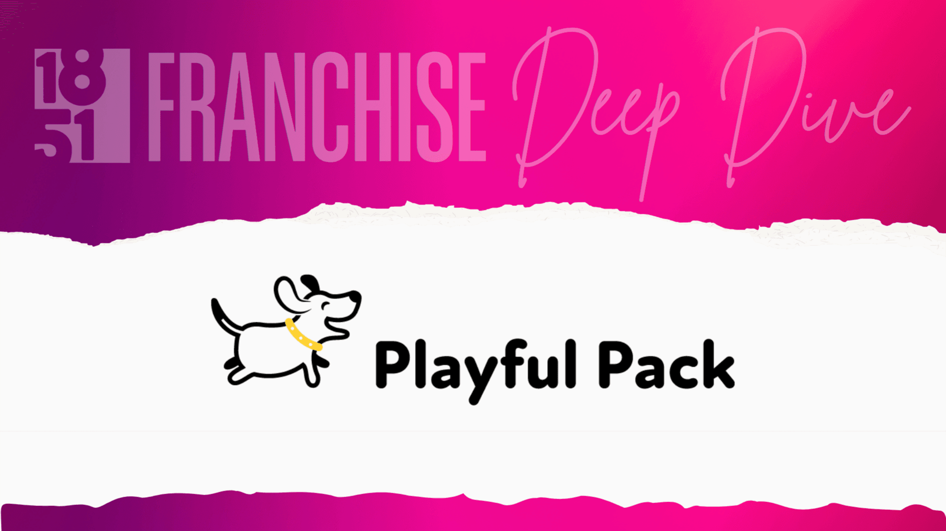 Playful Pack Franchise Costs, Fees, Profit and Data for 2026
