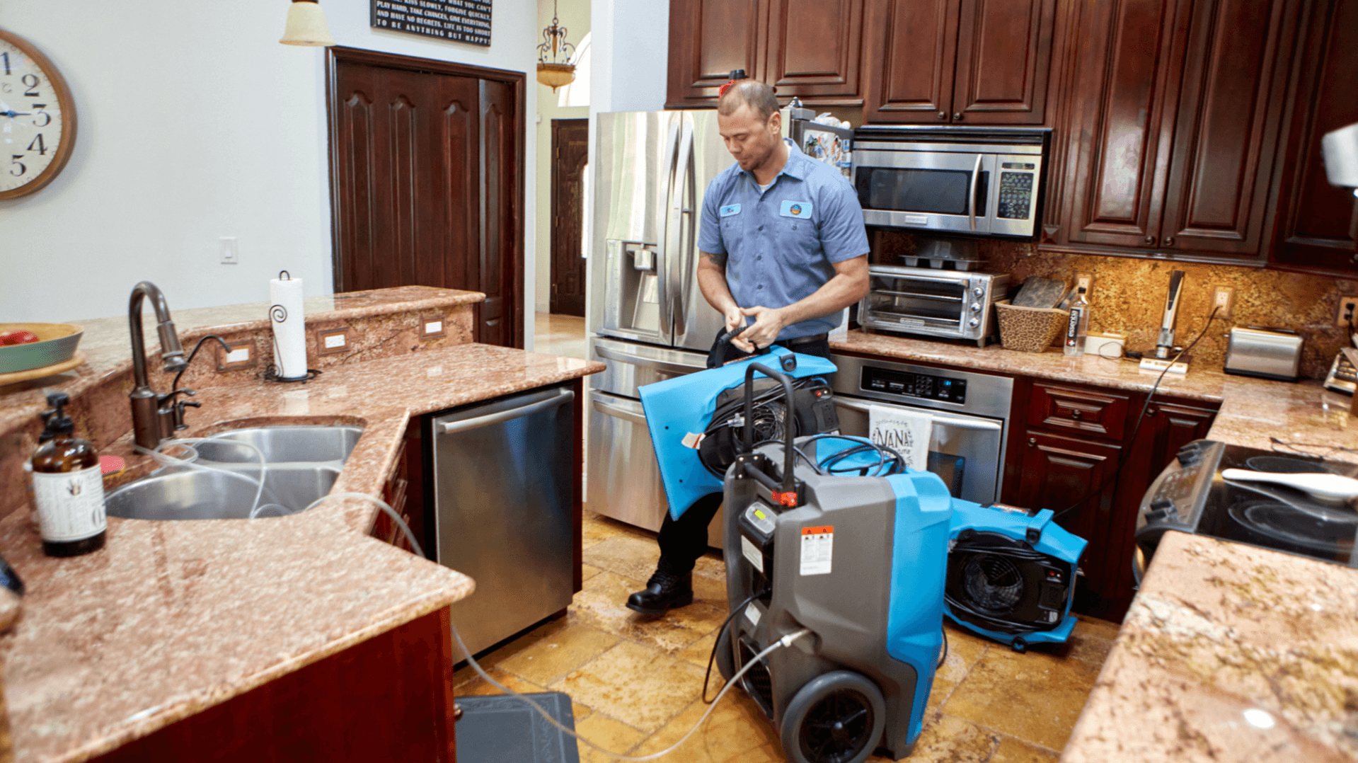Mold Myths and Tips: What Homeowners Should Know During Mold Awareness Month