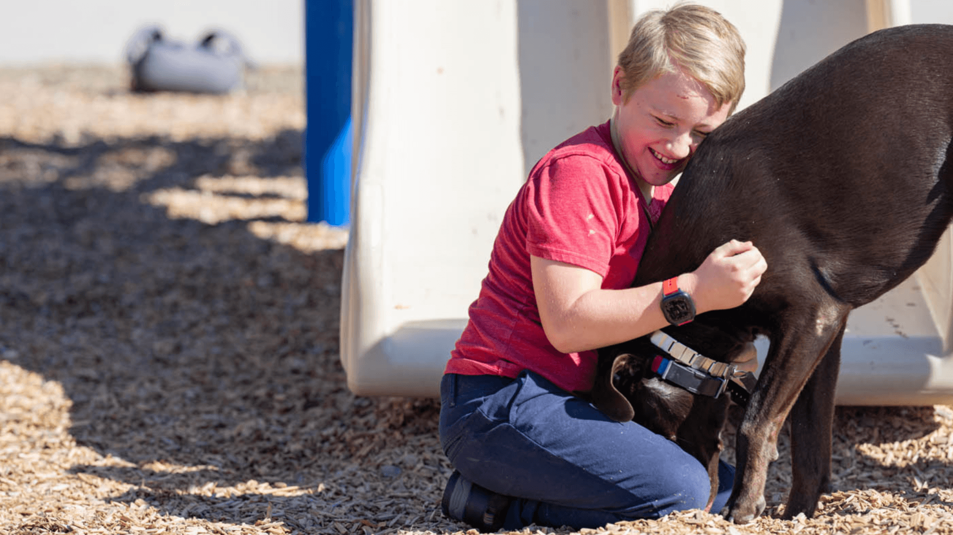 How Dog Training Elite Helps Families Prepare for Back-to-School Season