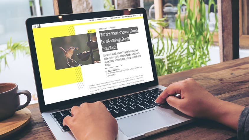 By Capturing the True Essence of Wild Birds Unlimited’s Culture, No Limit Agency Helps to Fuel the Brand’s Momentum