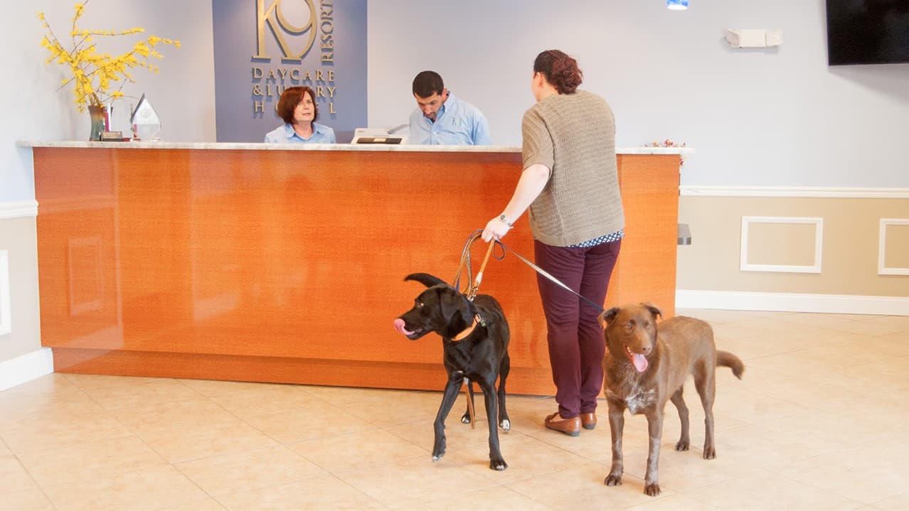 From Managing Properties to Managing Puppies: How One New Jersey Woman is Achieving Her Dreams with K9 Resorts