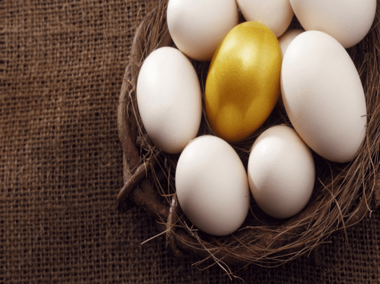 The Opportunities in Eggs