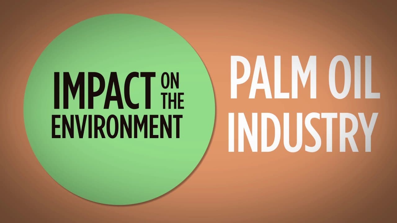 Brands vow to become more socially conscious, plan on removing palm oil from products   