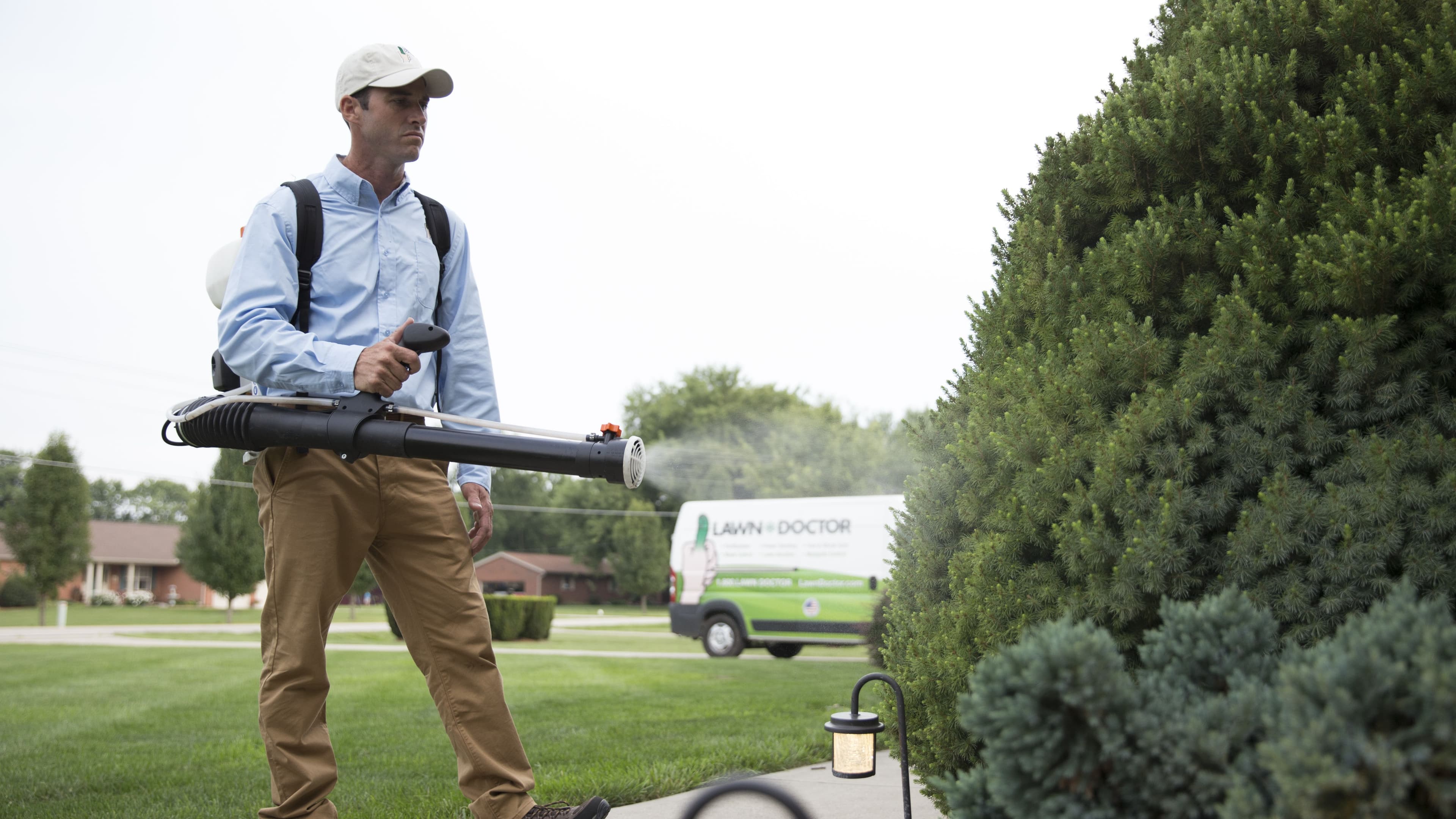 5 Steps to Get Your Lawn Ready for Spring
