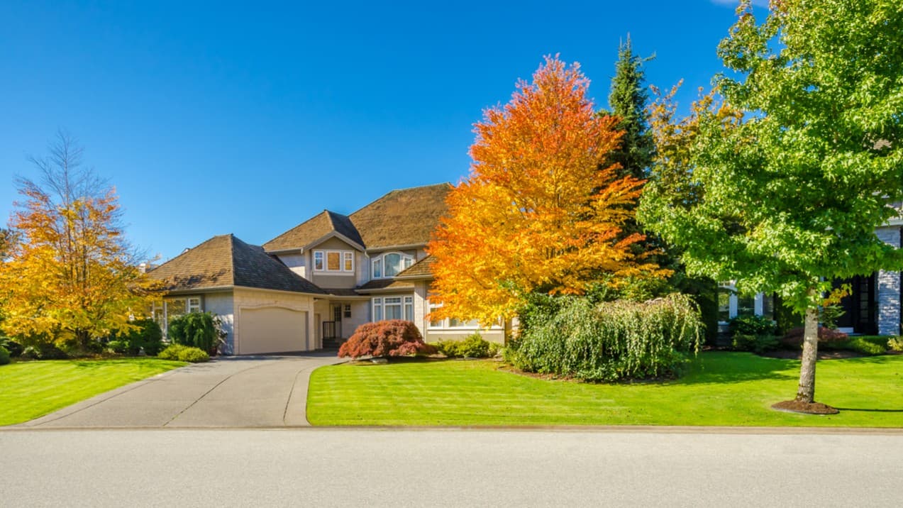 Why Fall Can Be A Great Time to Open a Lawn Doctor