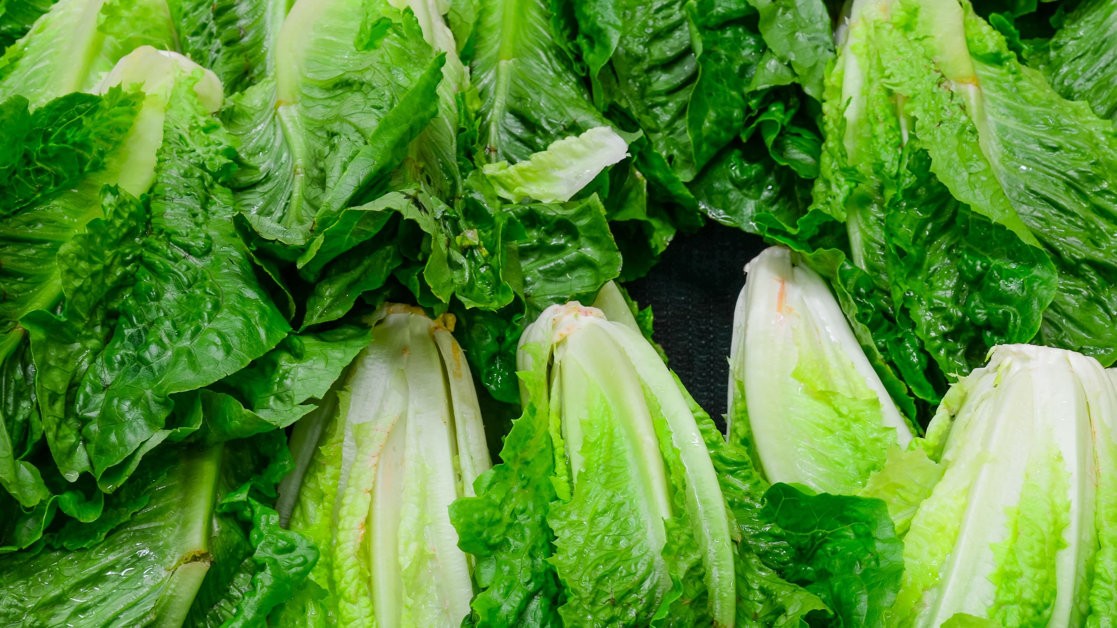 Nation's Restaurant News: FDA continues probe of tainted romaine