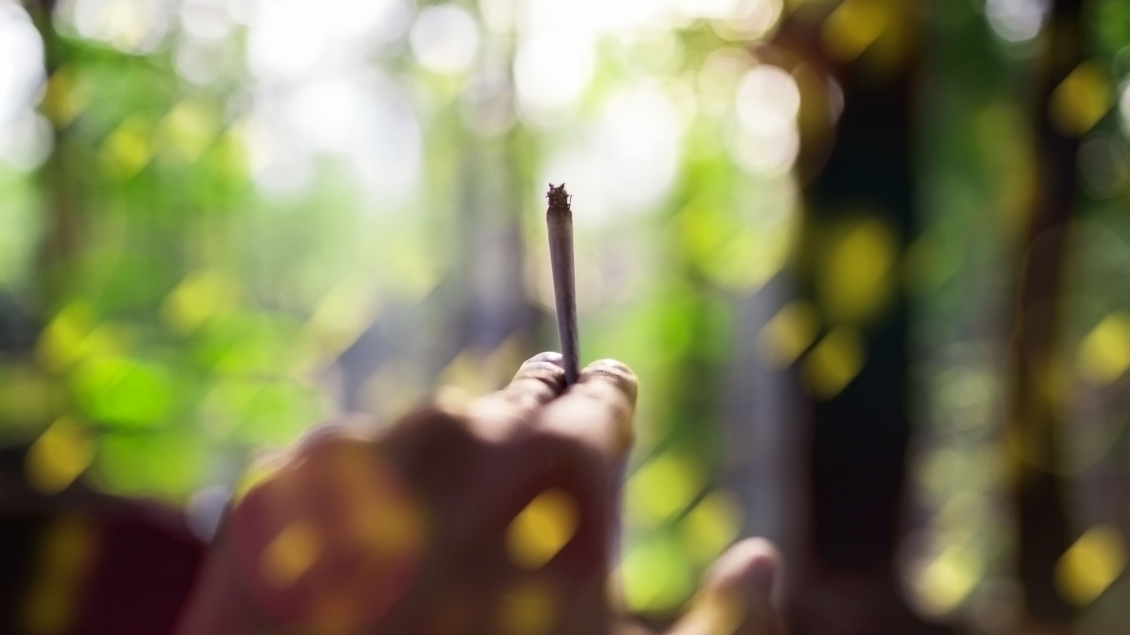 Franchise Sales and Recreational Drug Use Have a Lot in Common