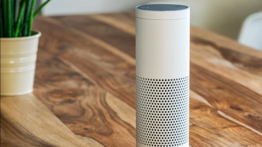 Hey Alexa, How Can You Help The Elderly? The Most Important Thing To Happen in Senior Care in 2019