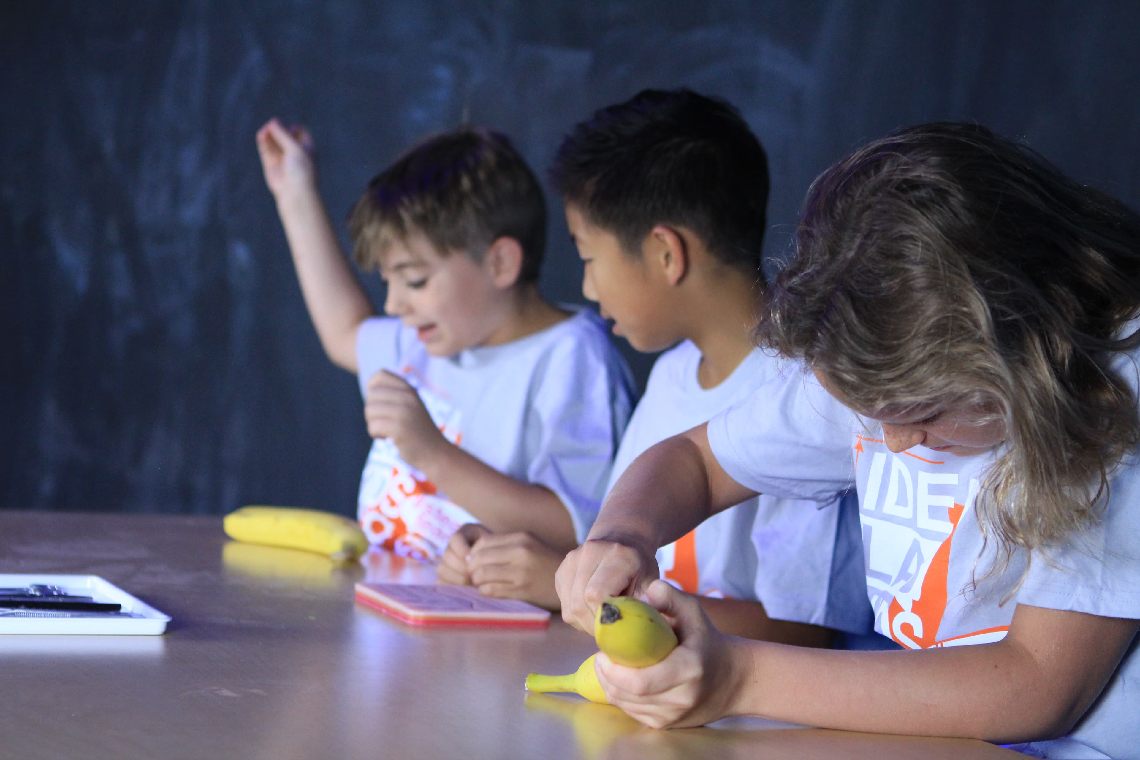 Summer Camp Programs Provide Almost Half of Annual Revenue for IDEA Lab Kids Franchisees 