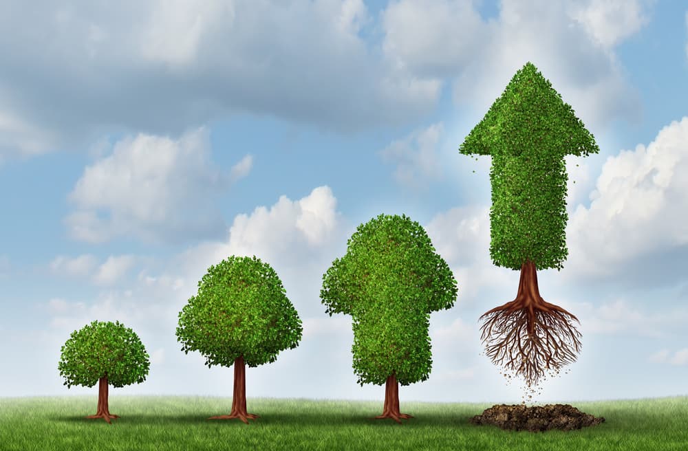 10 Emerging Franchises Primed for Growth in 2021