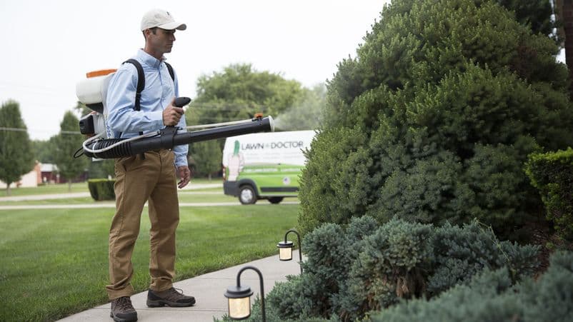 How Lawn Doctor Saw Double Digit Increases Following the COVID Pandemic