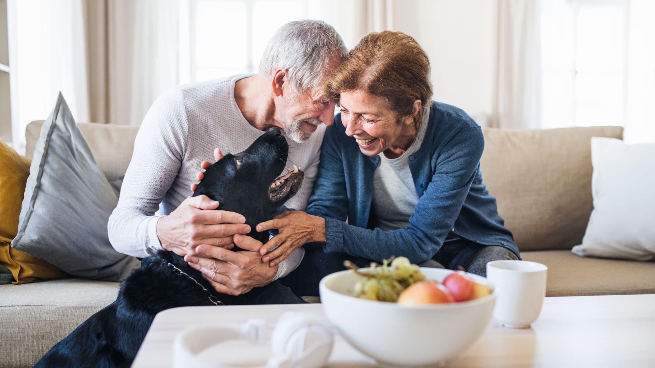How TruBlue Total House Care Is Working to Solve the Aging in Place Crisis