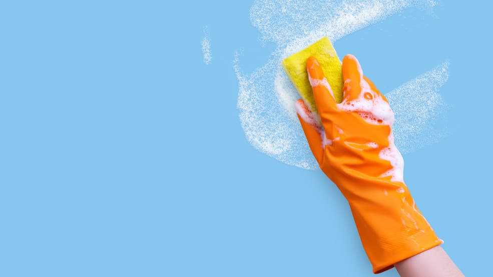 Why Home Clean Heroes, With Low Investment Costs And Major Growth Potential, Was The Right Brand For This Franchisee