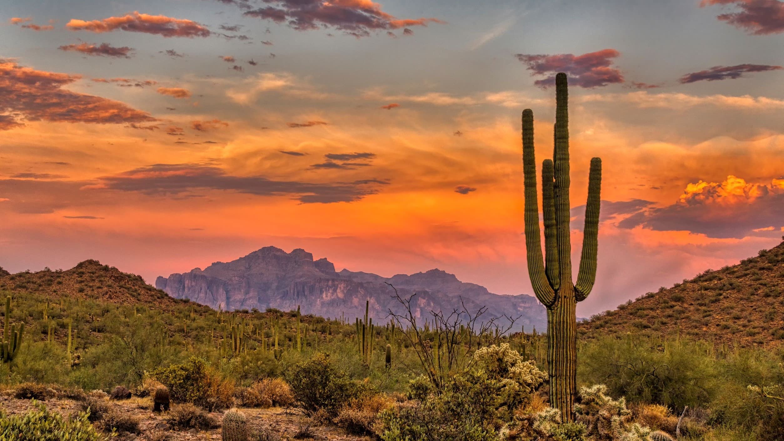 Pollo Campero Identifies Arizona as Market Primed for Franchise Growth