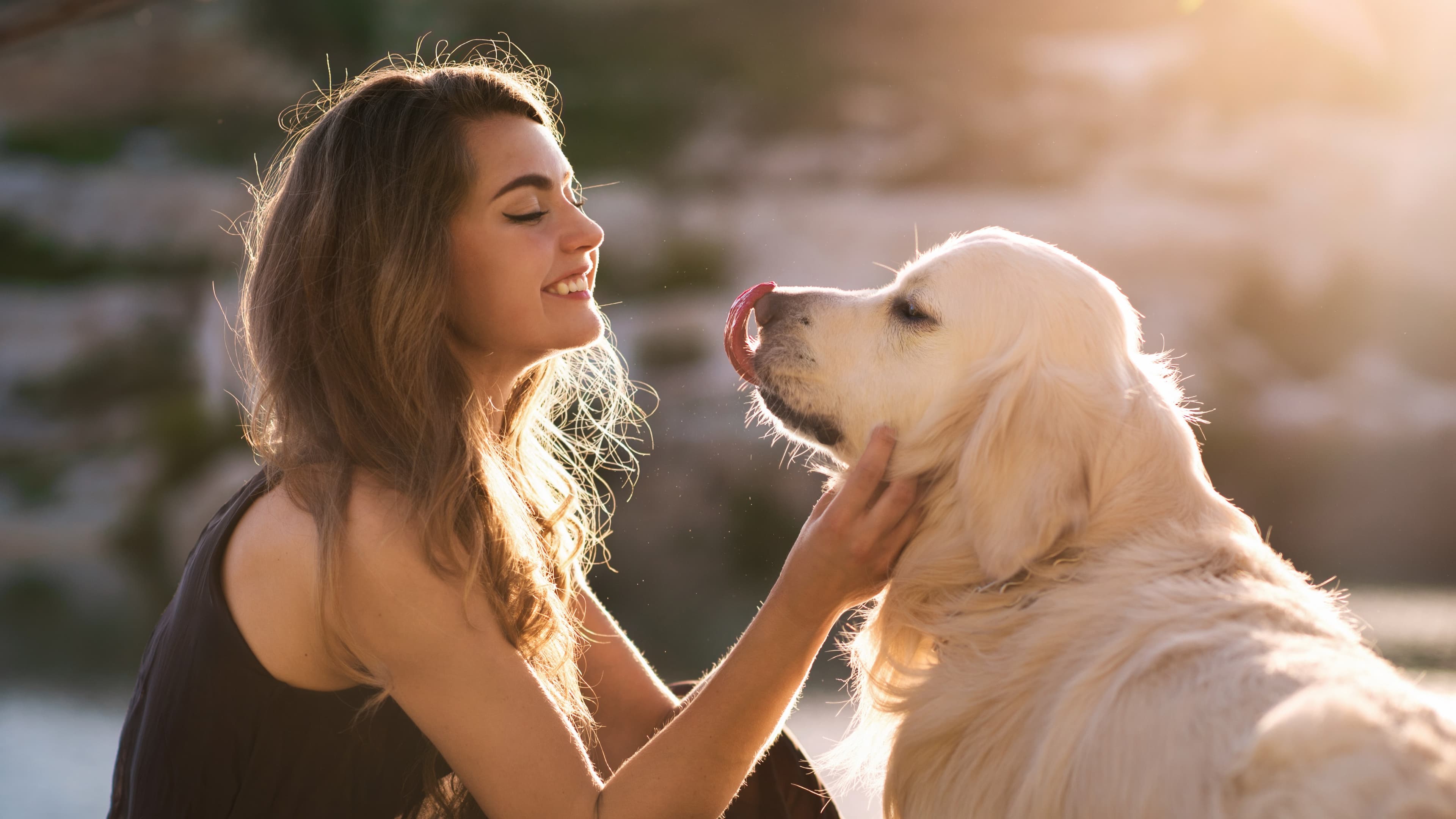 Top 7 Pet Services Franchises To Consider for 2022