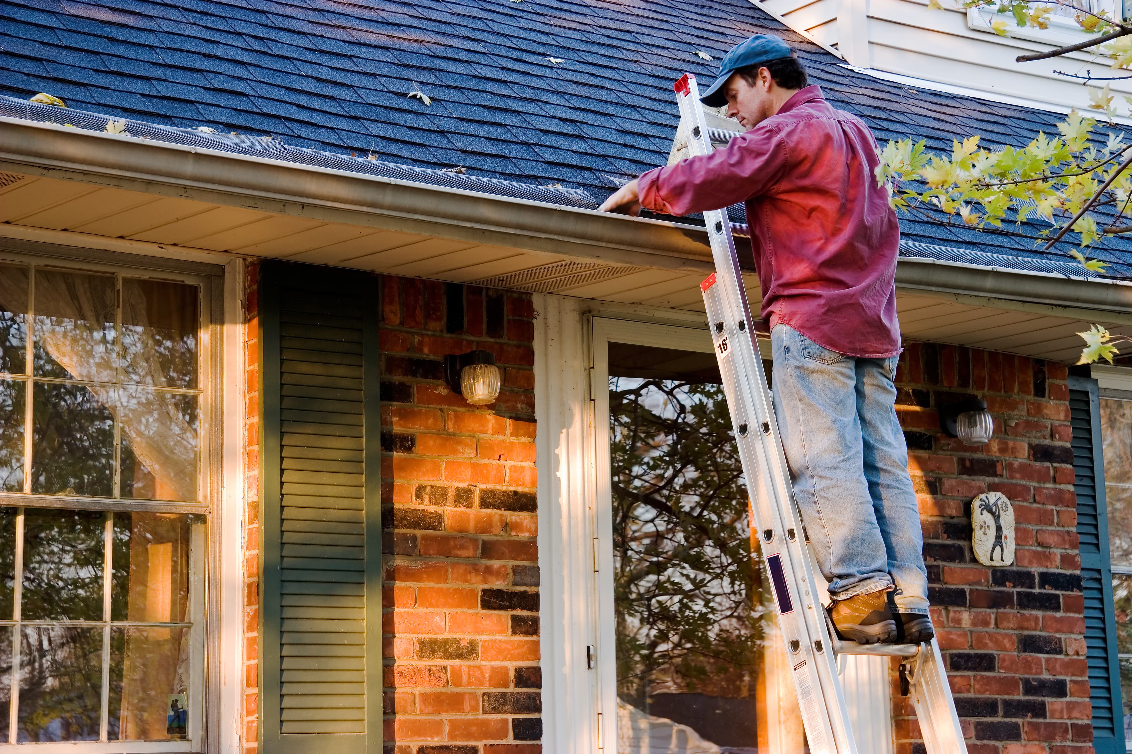 5 Reasons Why Technicians Love Working at TruBlue Total House Care