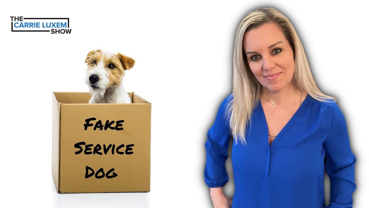 What You Need To Know About Having Service Animals in Your Restaurant