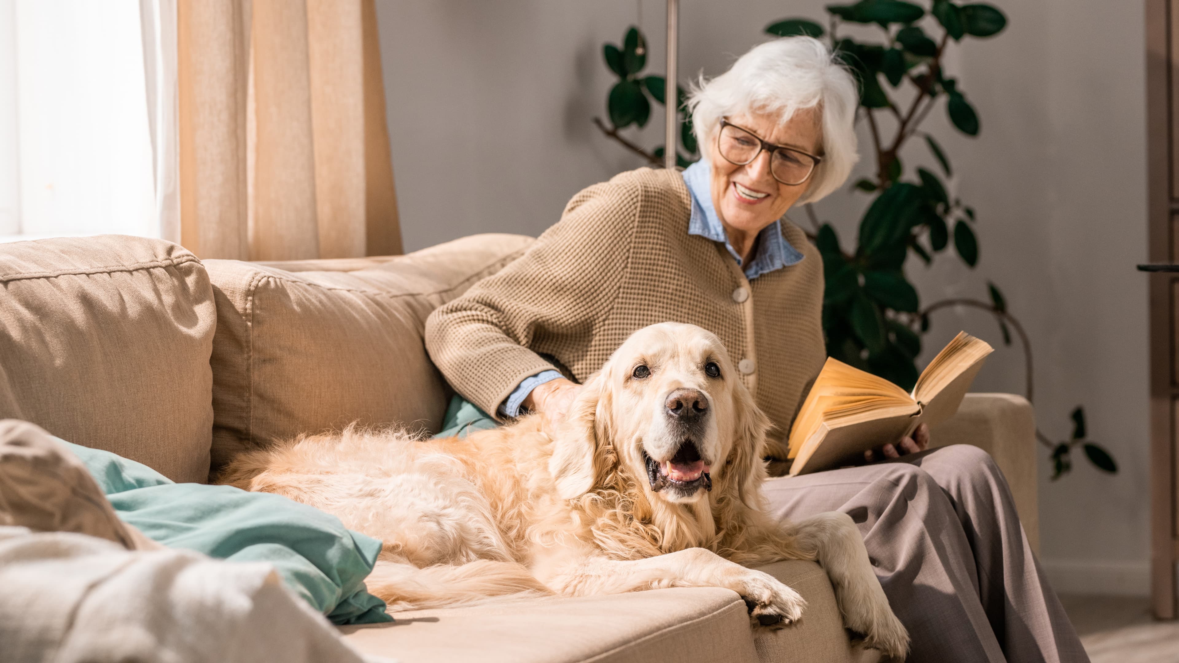 More Older Americans Living Alone, Home Service Franchises are Growing