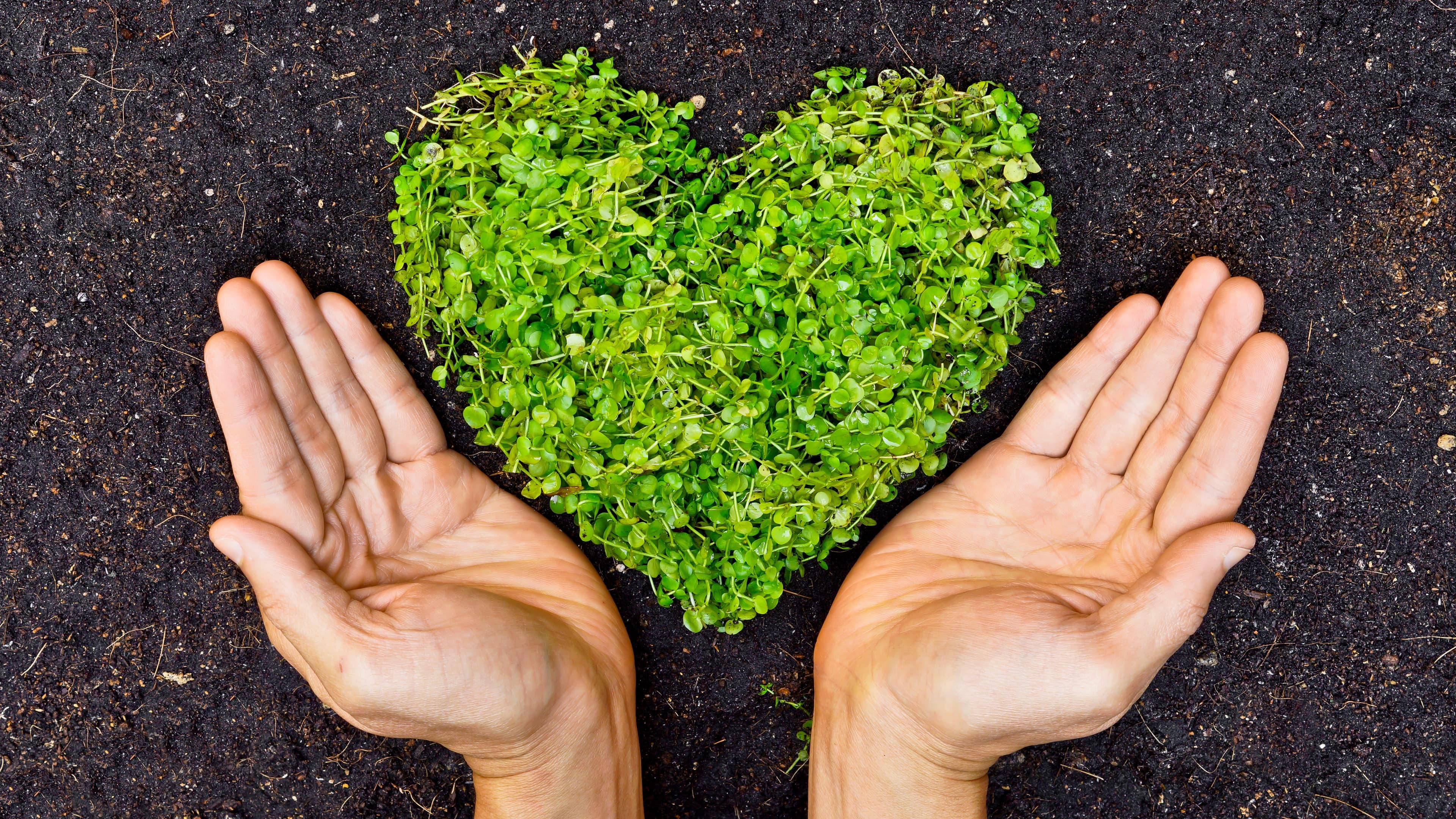 Franchise Systems, Worried About the Environment, Take Sustainability Matters into Their Own Hands