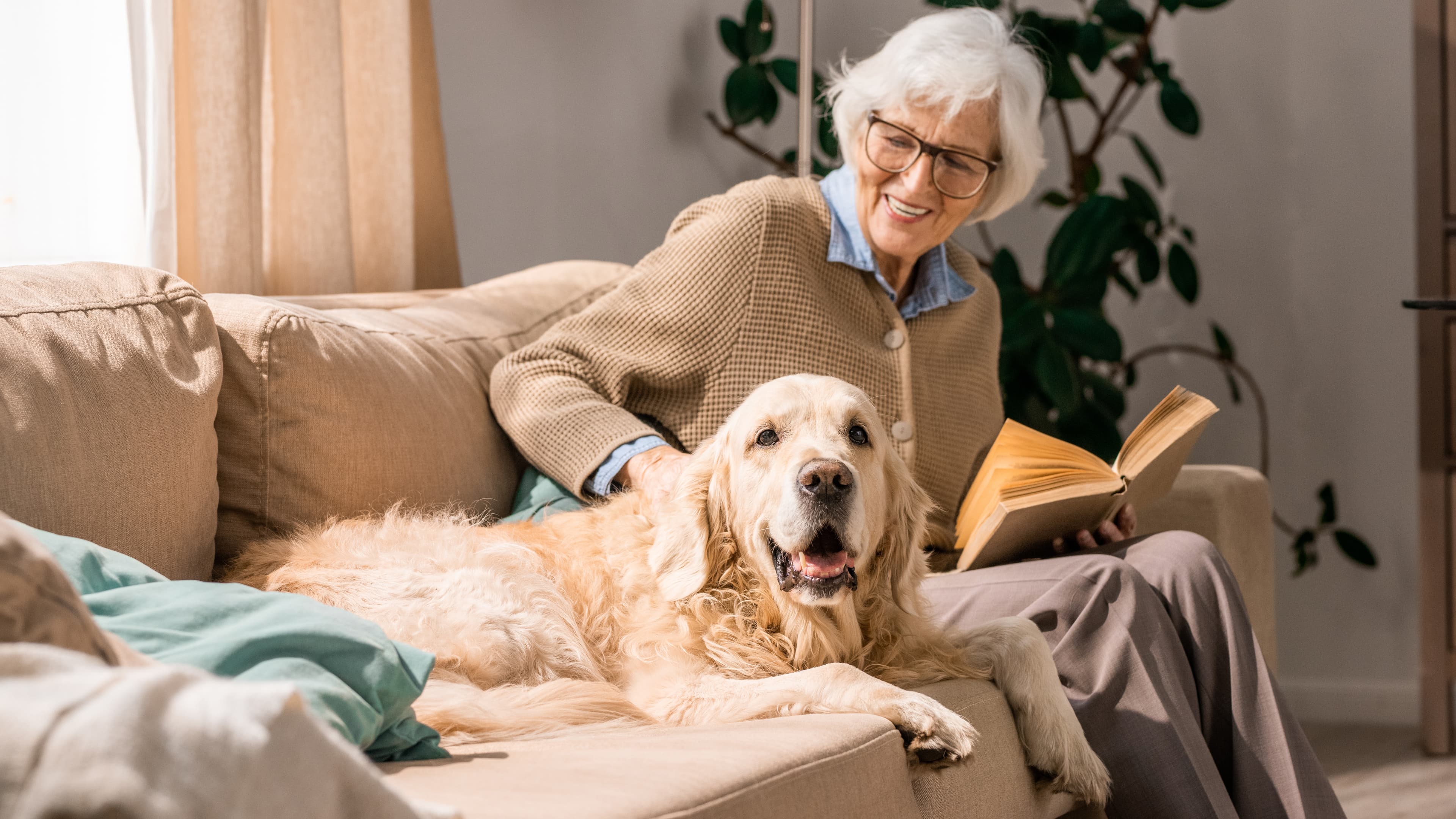 TruBlue Total House Care Identifies Retirement-Friendly Tampa as its Next Target for Franchise Growth