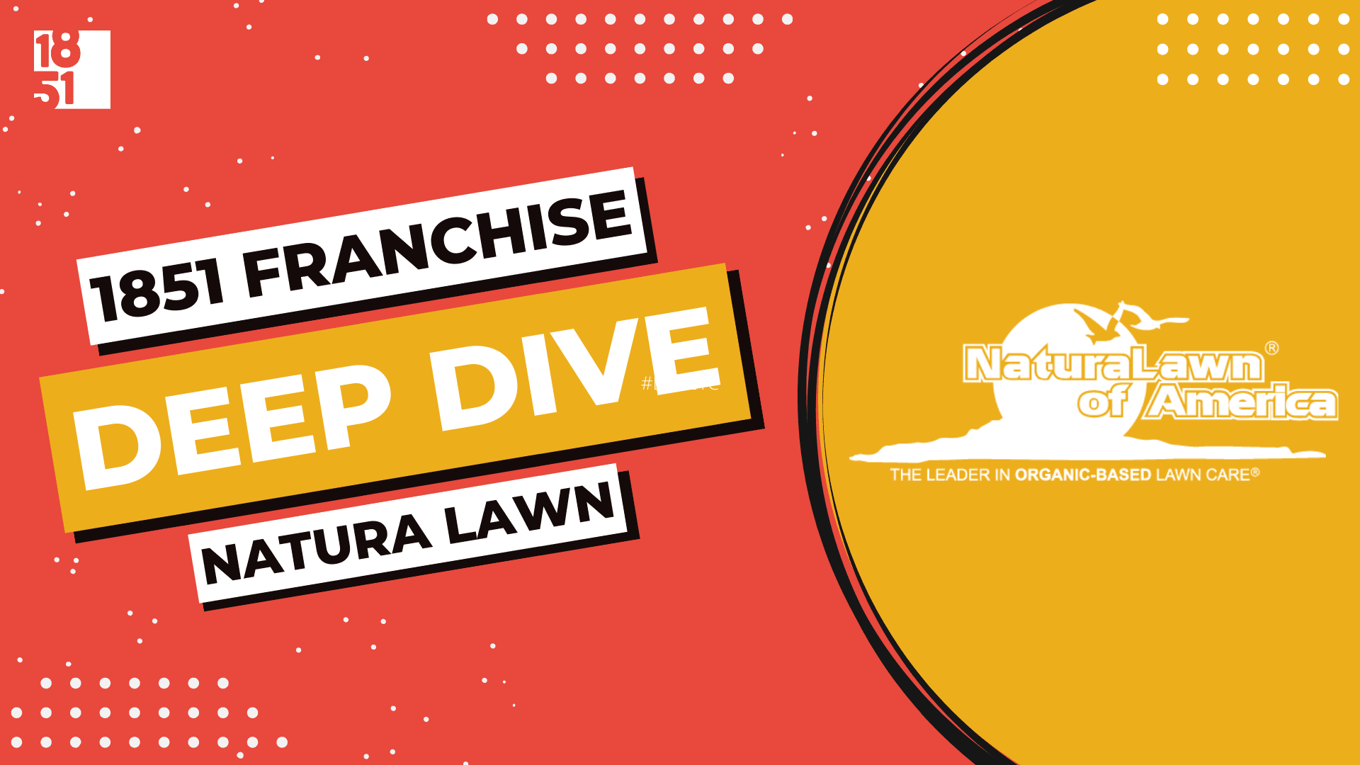 Franchise Deep Dive: NaturaLawn of America Franchise Costs, Fees, Profit and Data