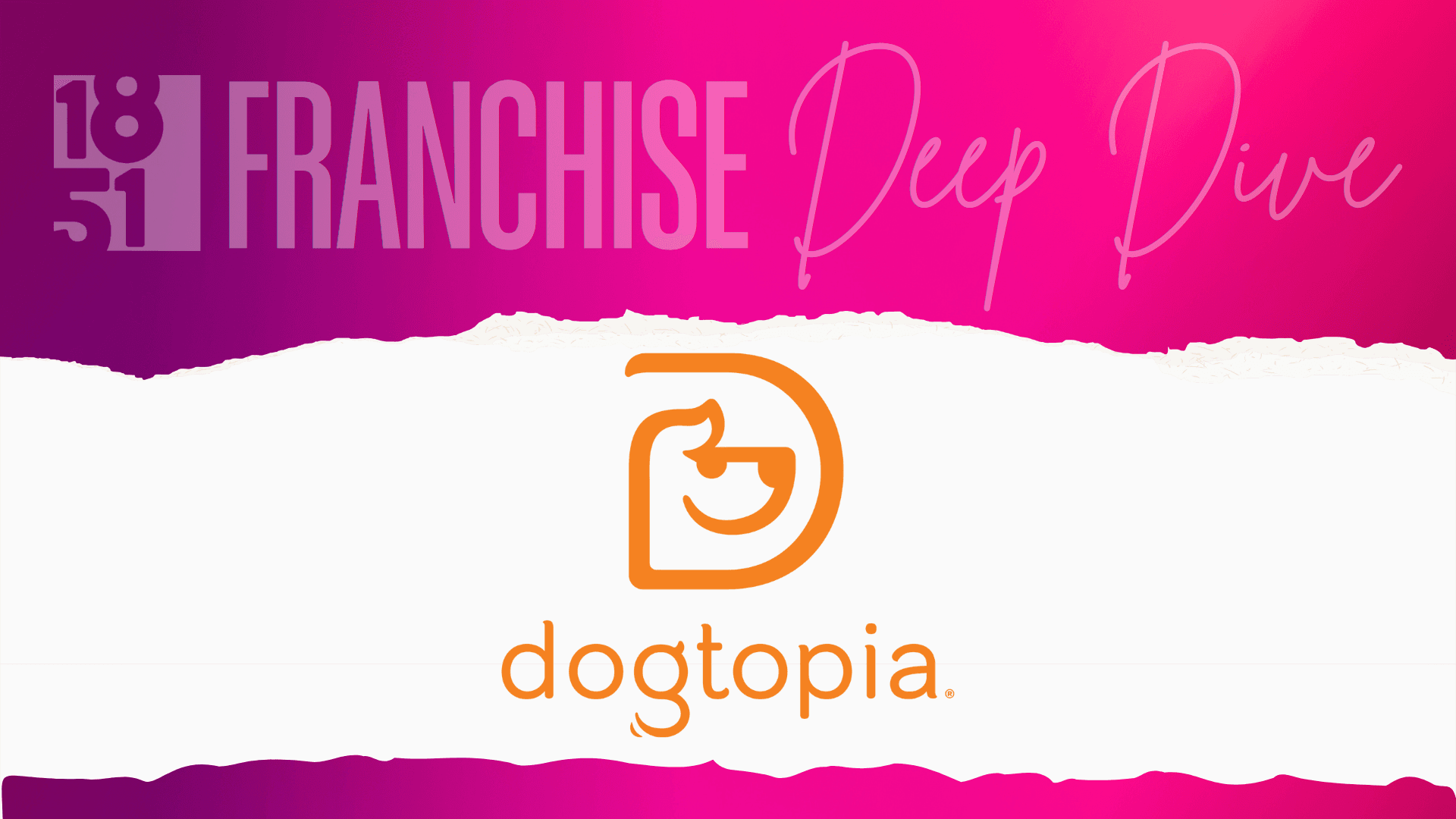 Dogtopia Franchise Costs, Fees, Profit and Data for 2026