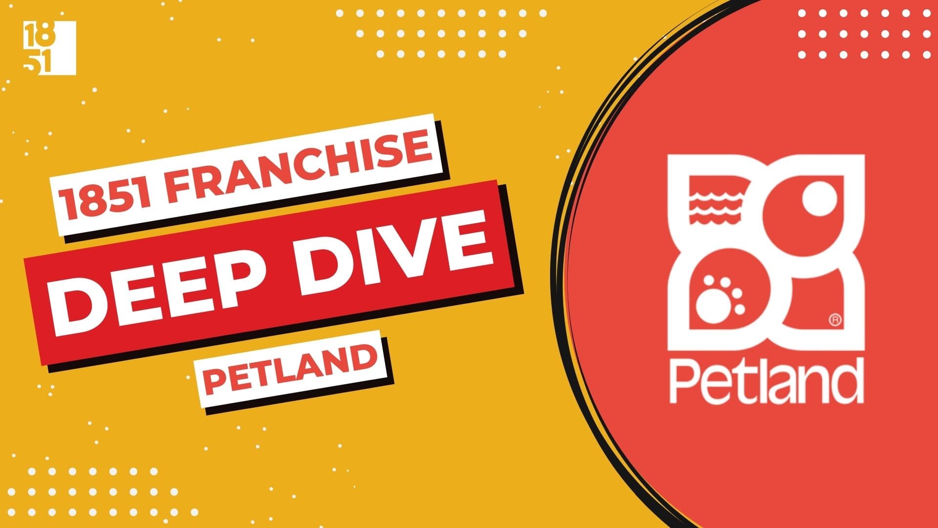 Franchise Deep Dive: Petland's Franchise Costs, Fees, Profit and Data