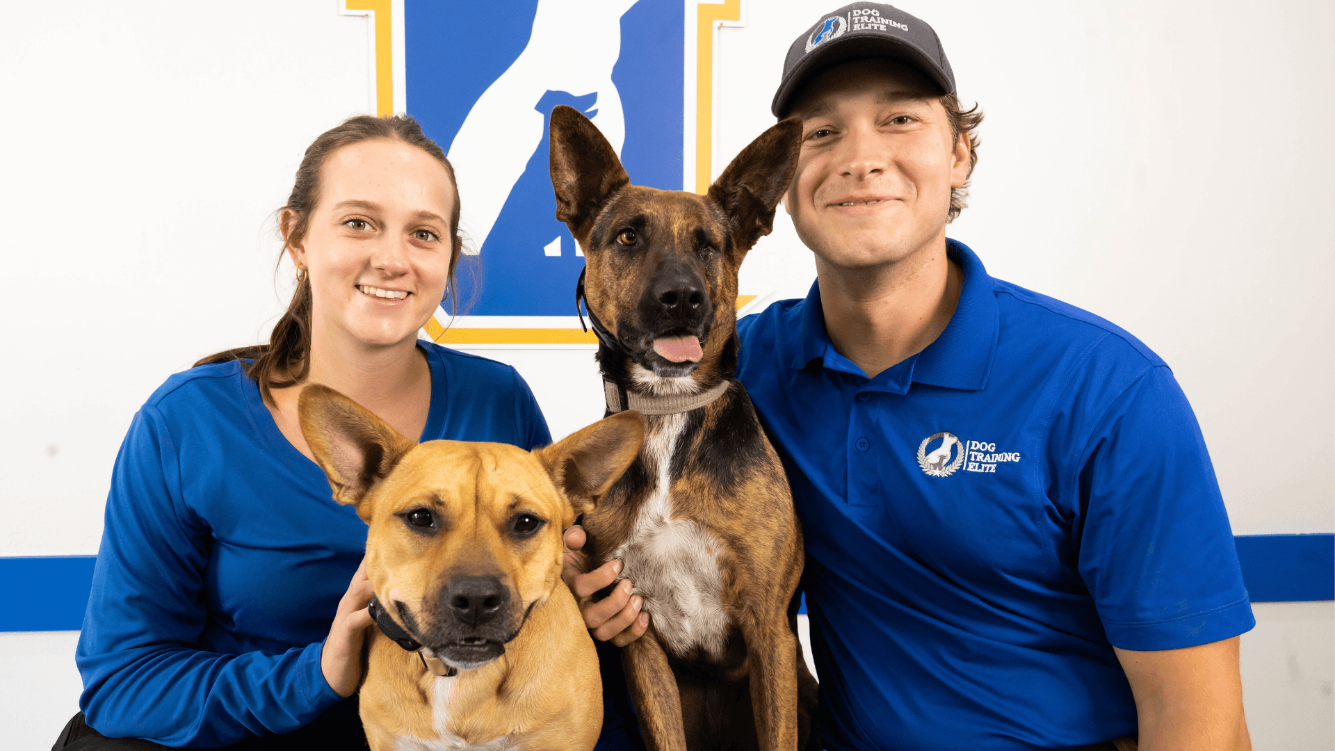 Why These Dog Training Elite Owners See Great Expansion Opportunities in Their Markets