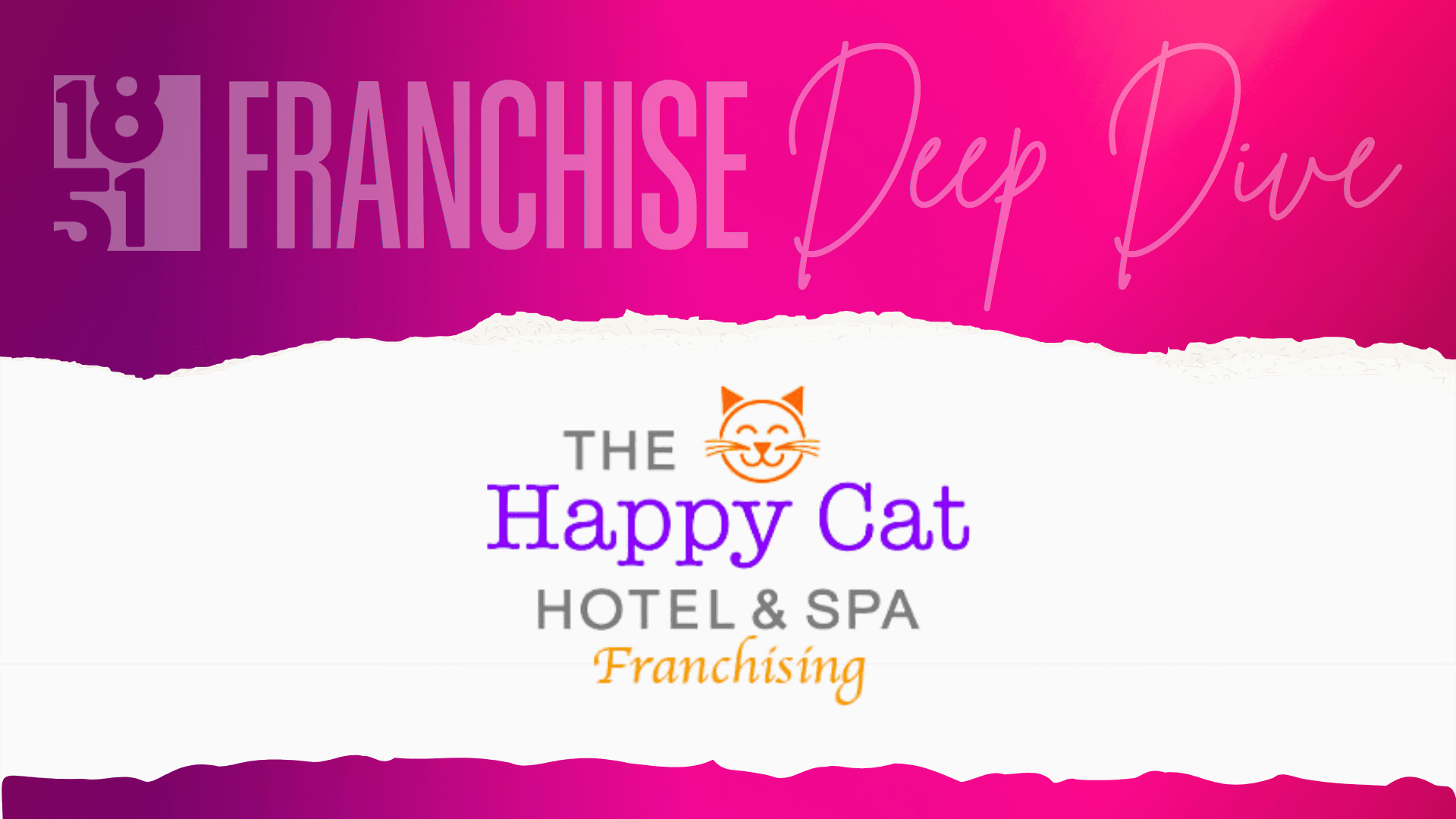 Happy Cat Hotel & Spa Franchise Costs, Fees, Profit and Data for 2026