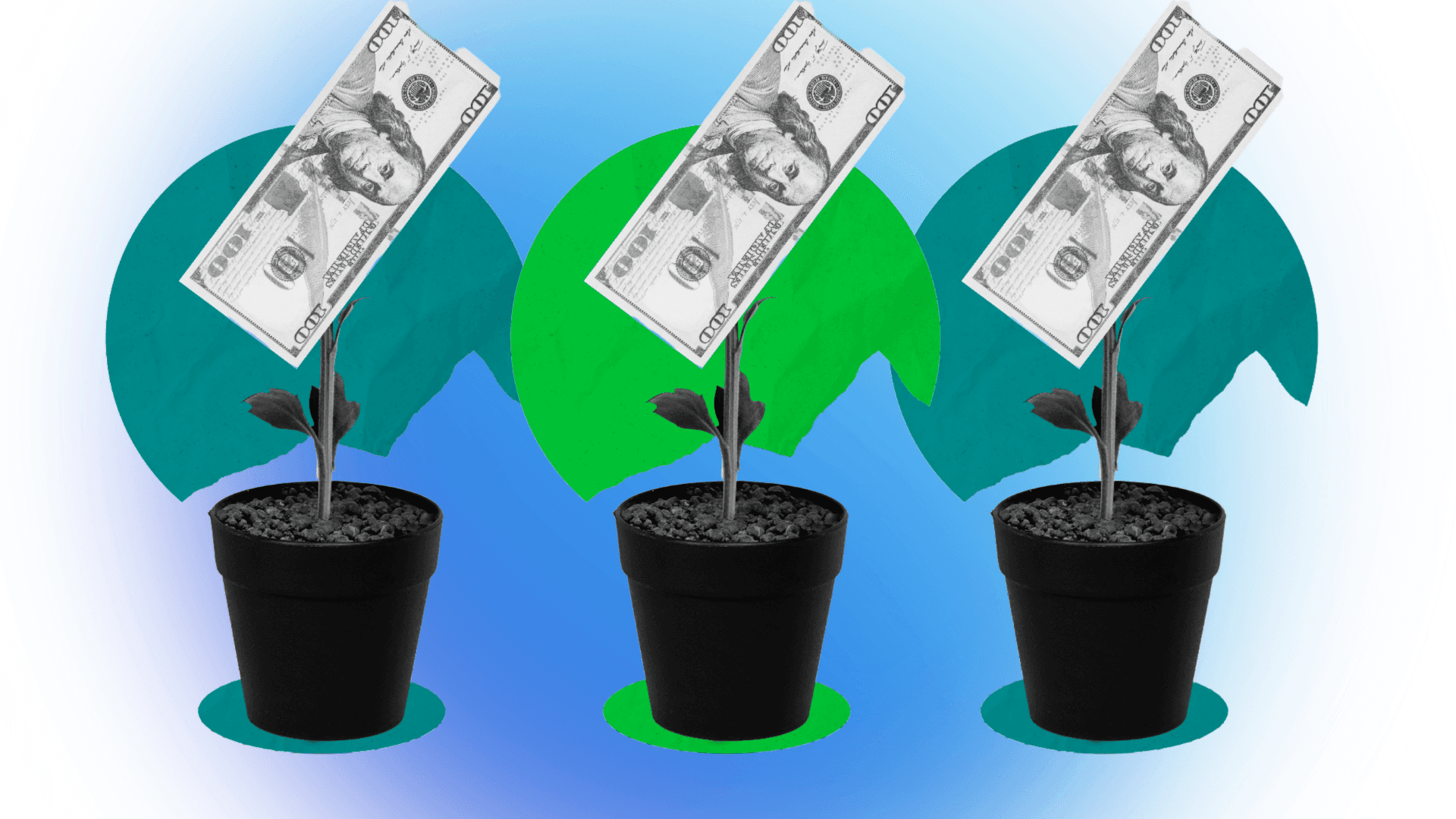 Money Does Grow On Trees: Is Opening a Tree Care Business Profitable?