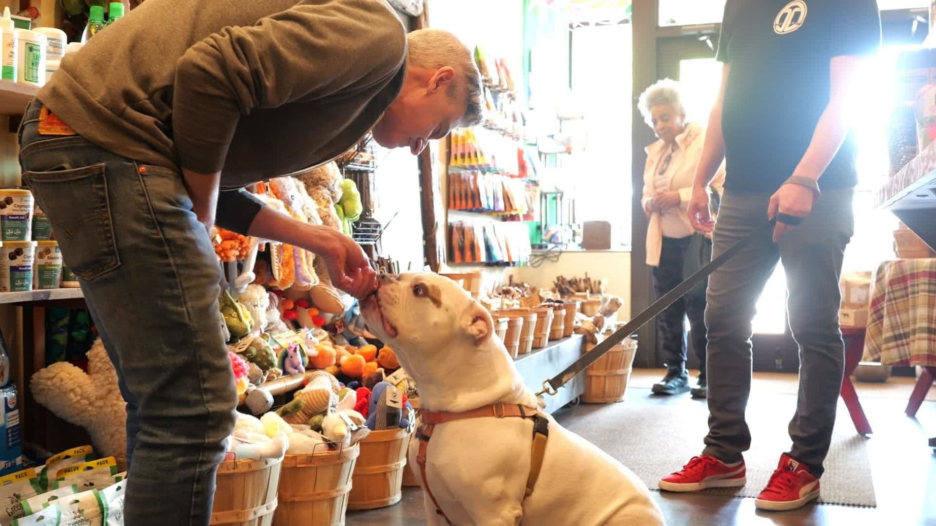 How Much Can I Make with a Pet Wants Franchise?