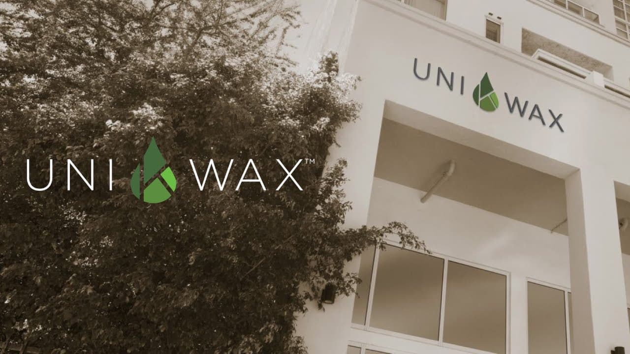 Uni K Wax Franchise Costs, Fees, Profit and Data for 2025