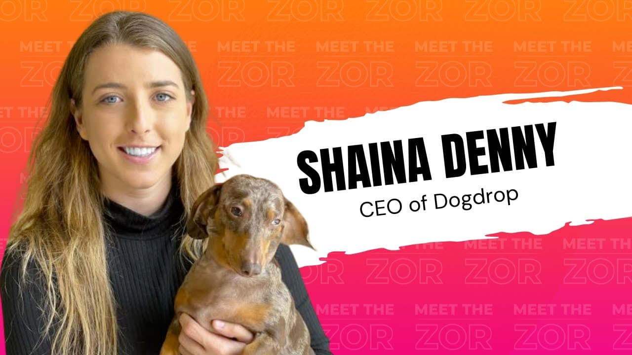Franchise Deep Dive: Dogdrop Franchise Costs, Fees, Profit and Data
