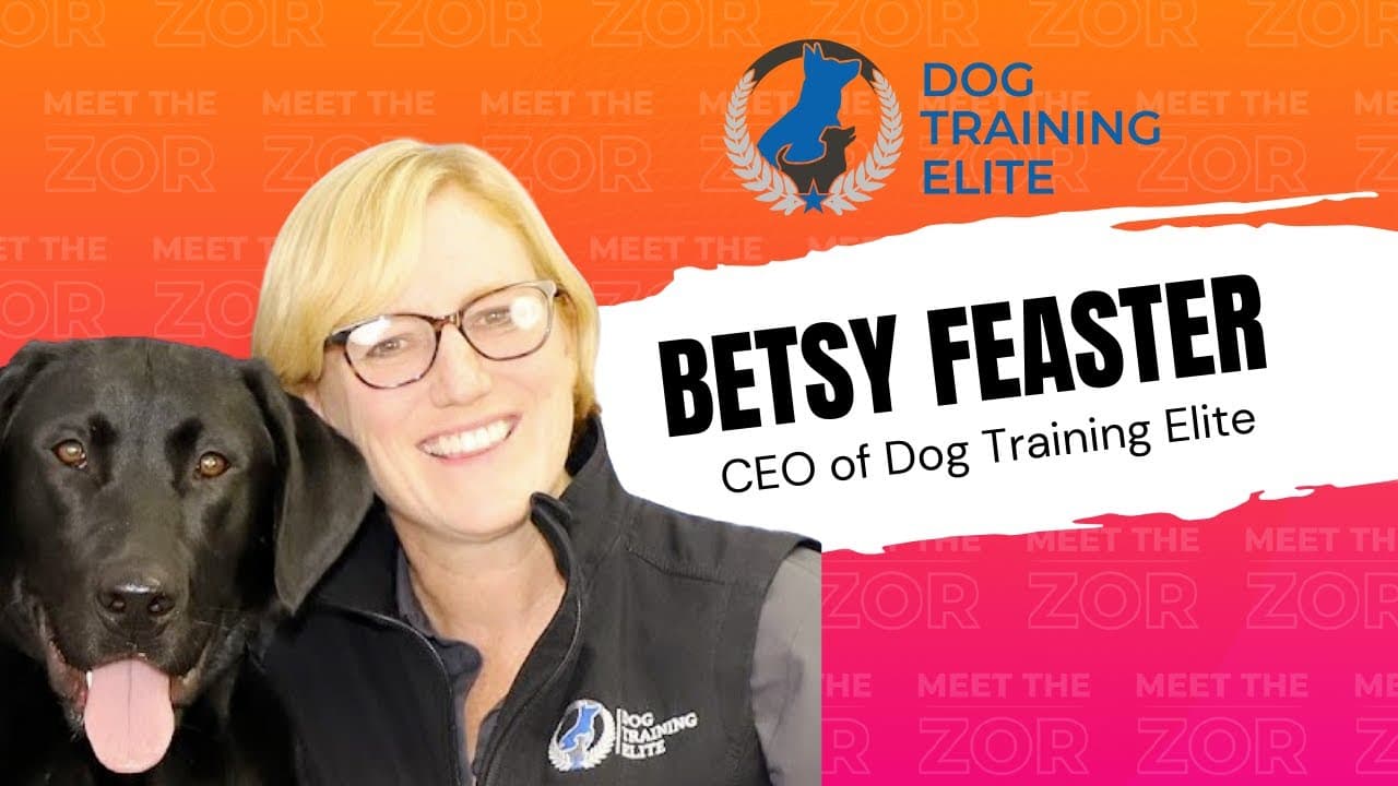 Meet the Zor: Dog Training Elite CEO Betsy Feaster