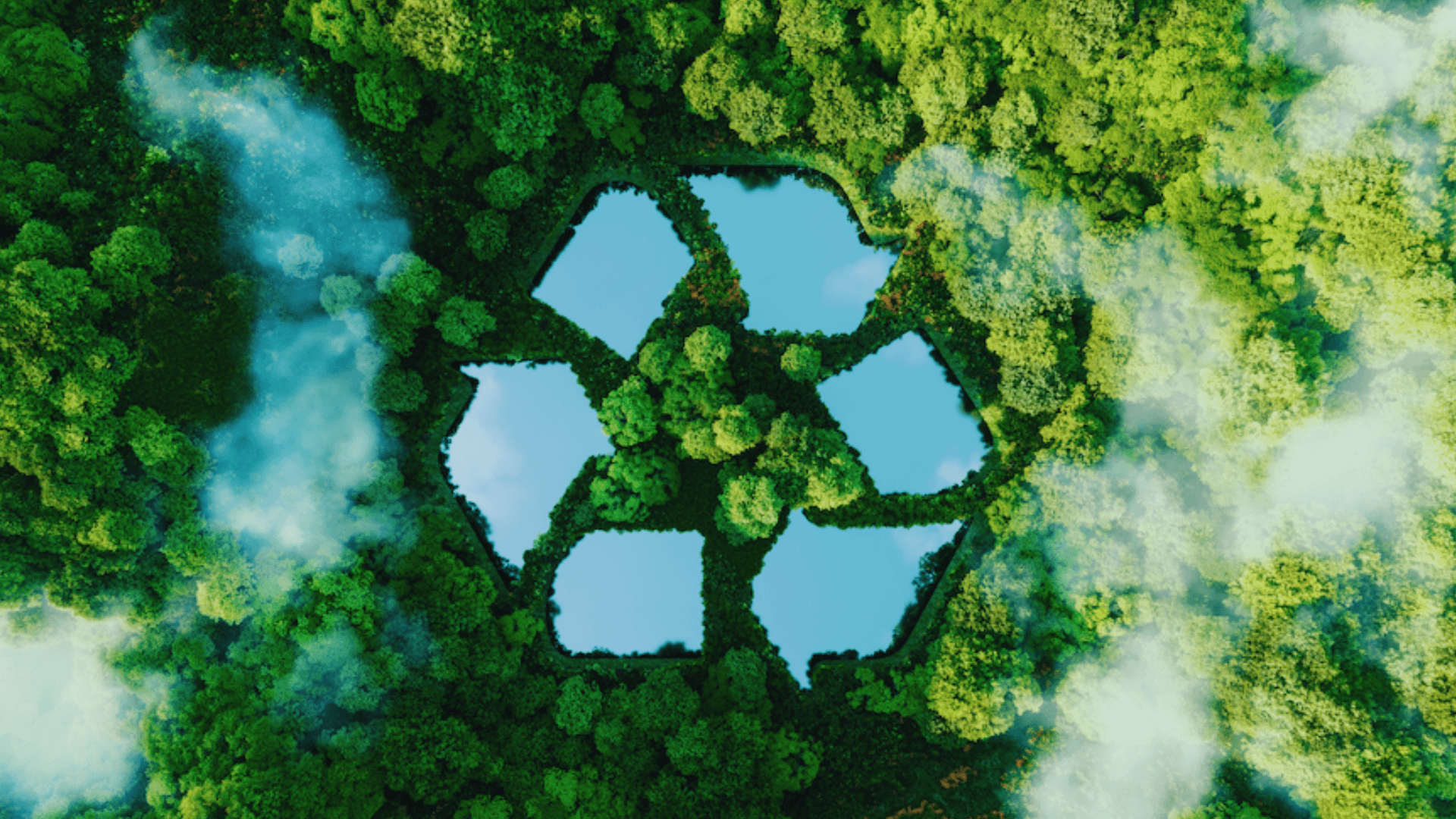 The Rise of Green and Sustainable Business Models in Franchising