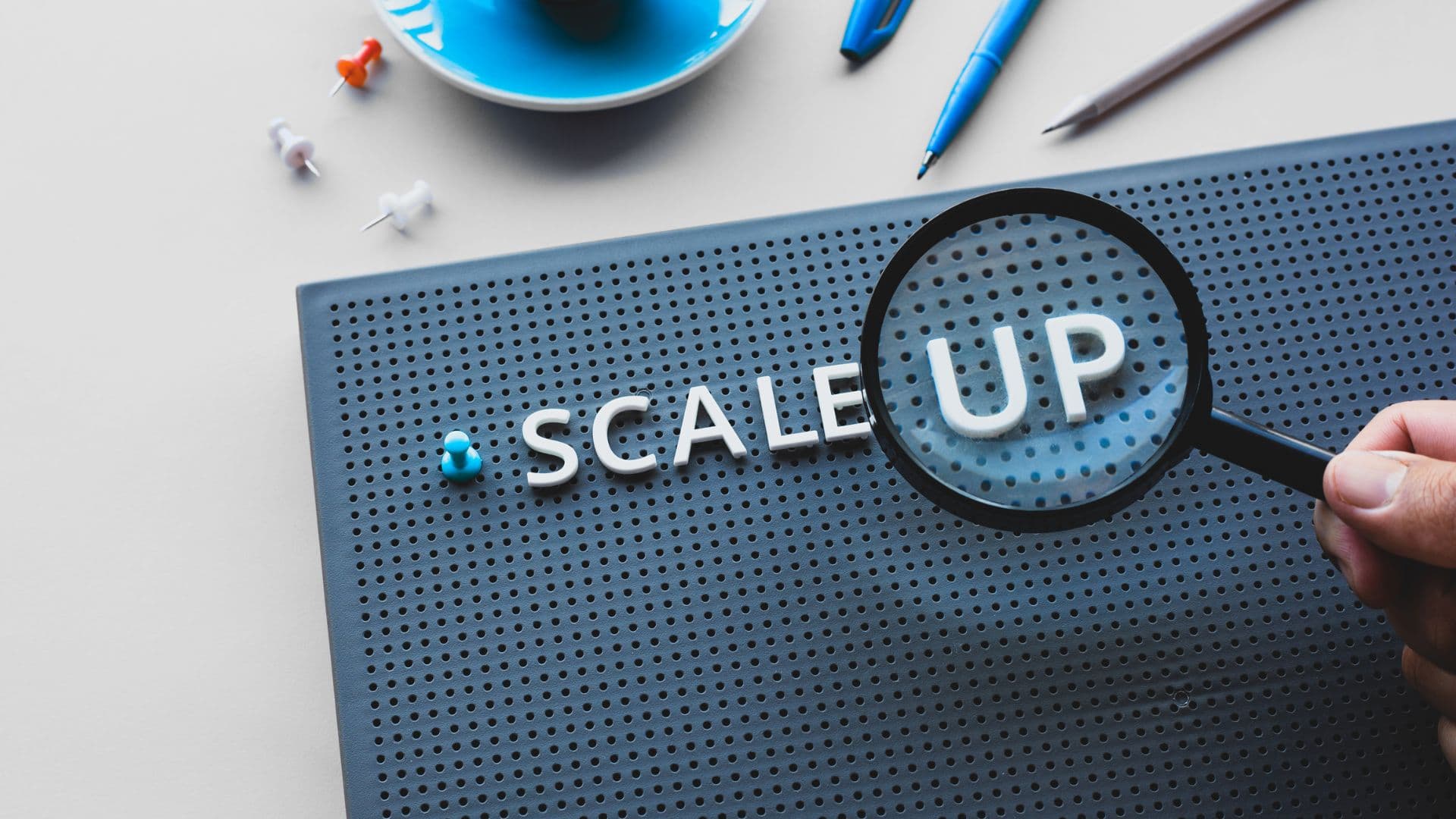 Scaling Smart: Growth Strategies for Franchise Owners