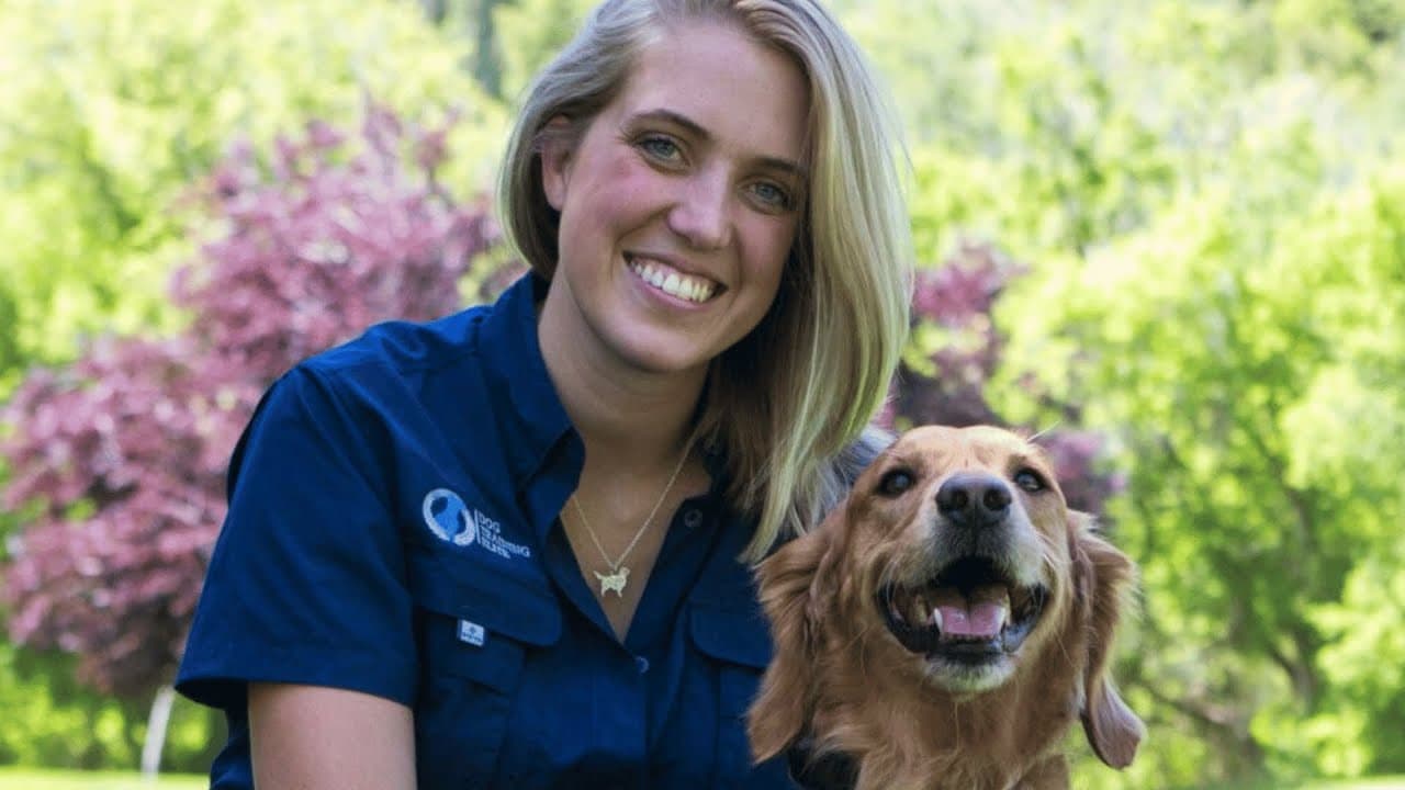 Franchise Domination: Dog Training Elite Breaks Down Franchising