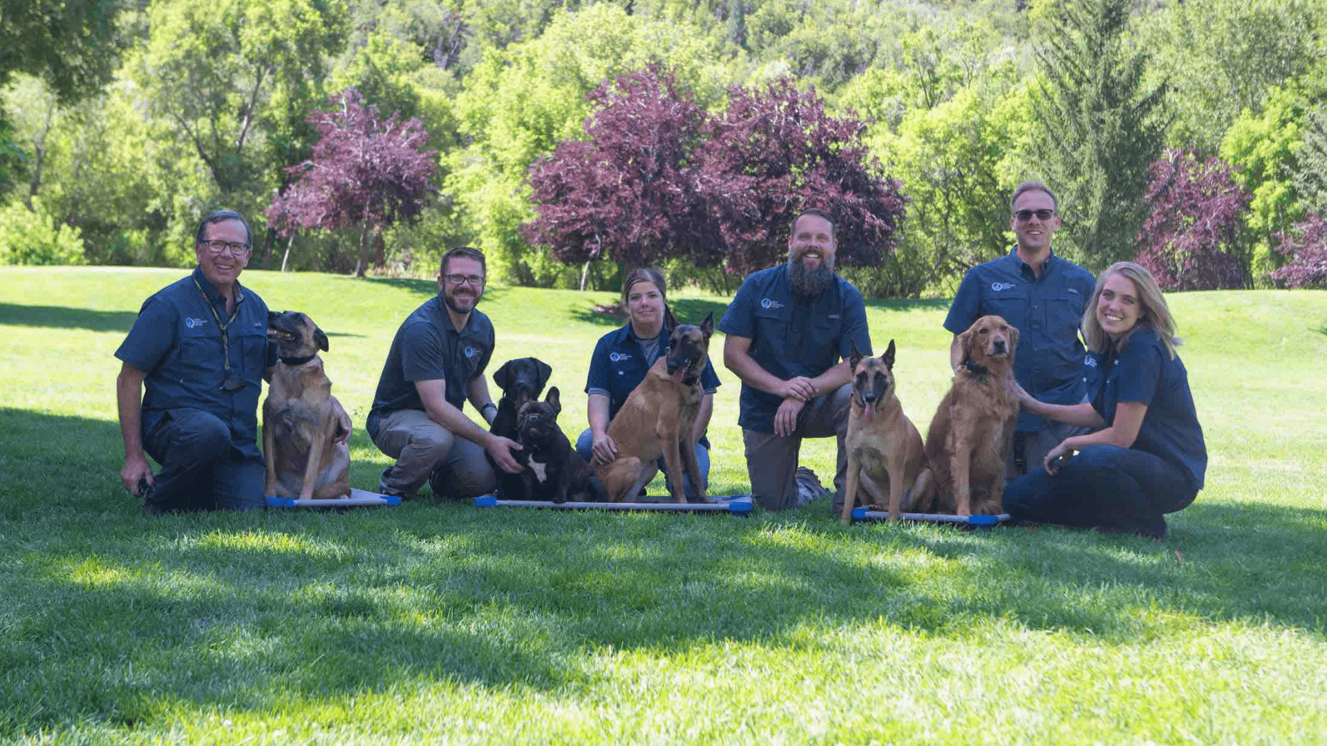 Dog Training Elite Kicks off 2024 With 9 New Territories and 8 More in Progress