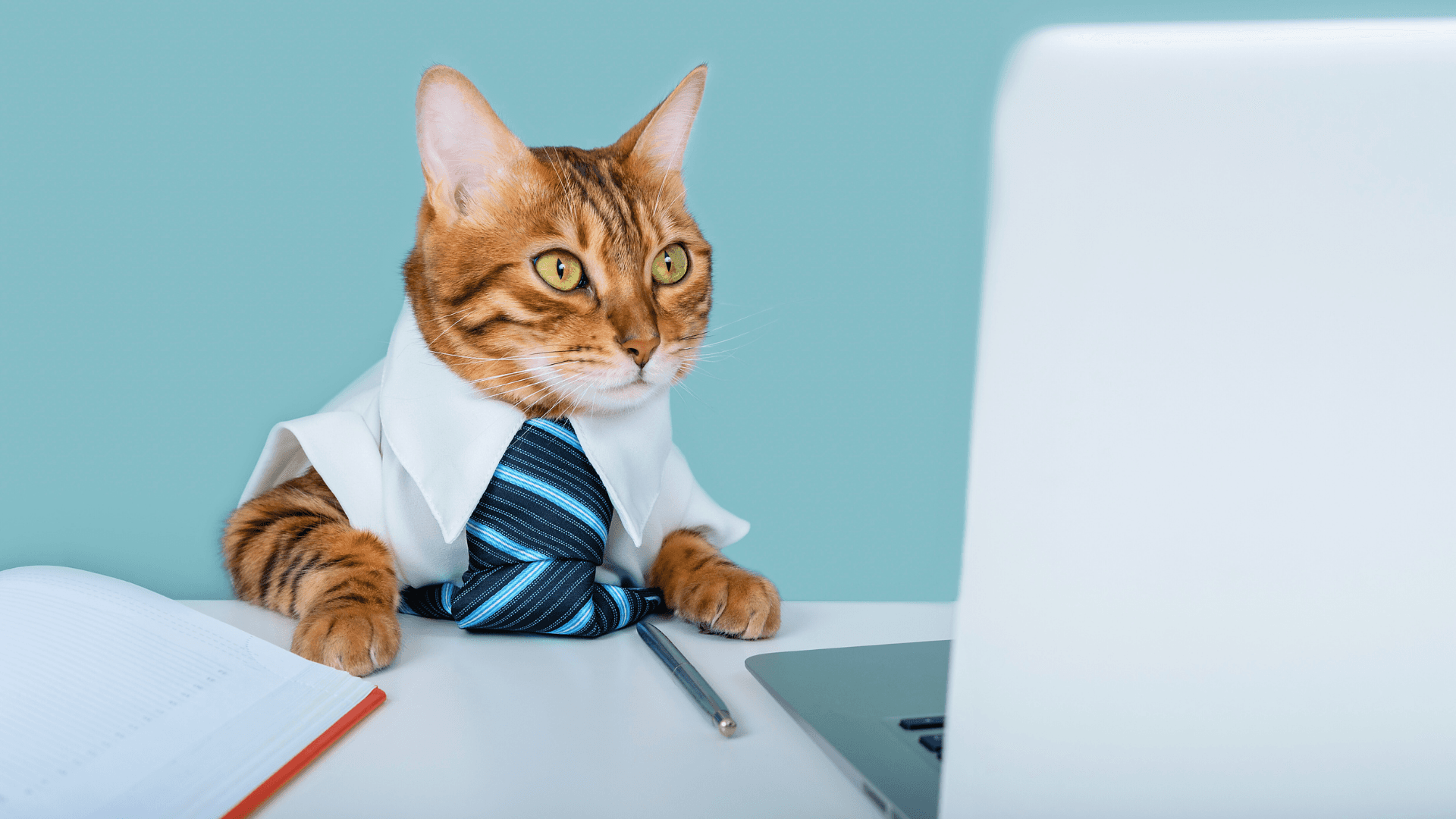 Opportunities and Trends in the Pet Franchise Market