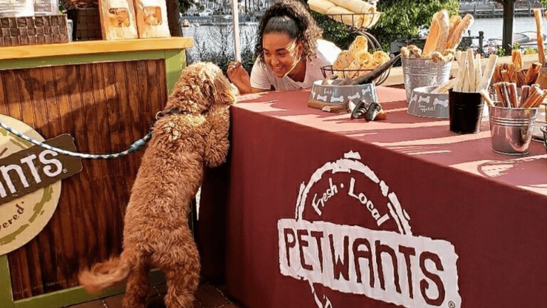 Why Choose a Pet Wants Franchise When Entering the Pet Industry?