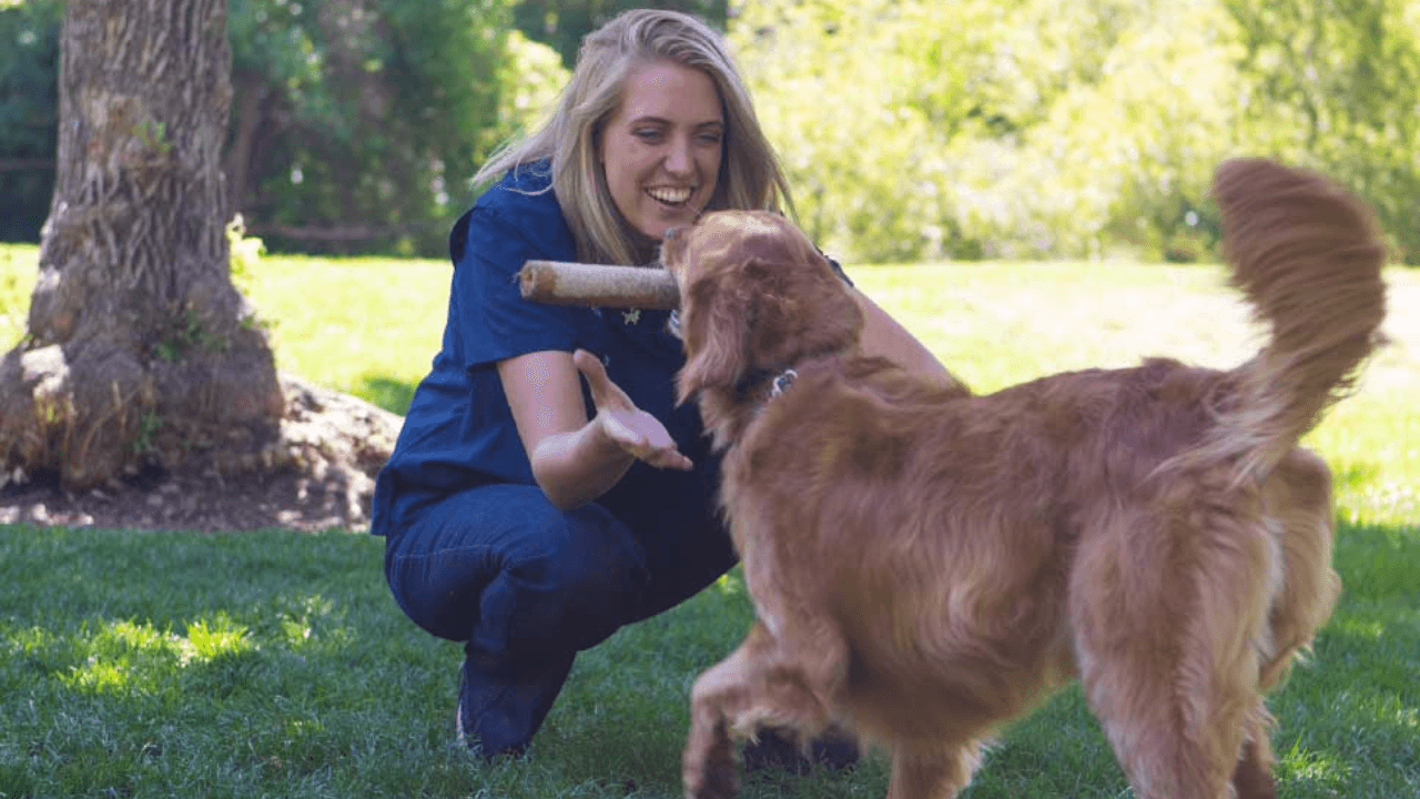 Dog Training Elite Recognized by Entrepreneur Magazine as #1 in Category for 2024 Best of the Best Franchises