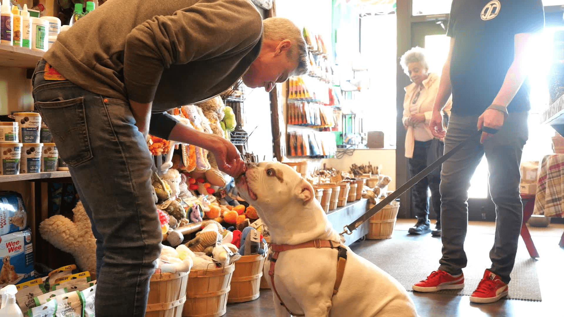 Why Pet Wants Is a Great Addition to a Doggie Daycare Franchisee’s Portfolio