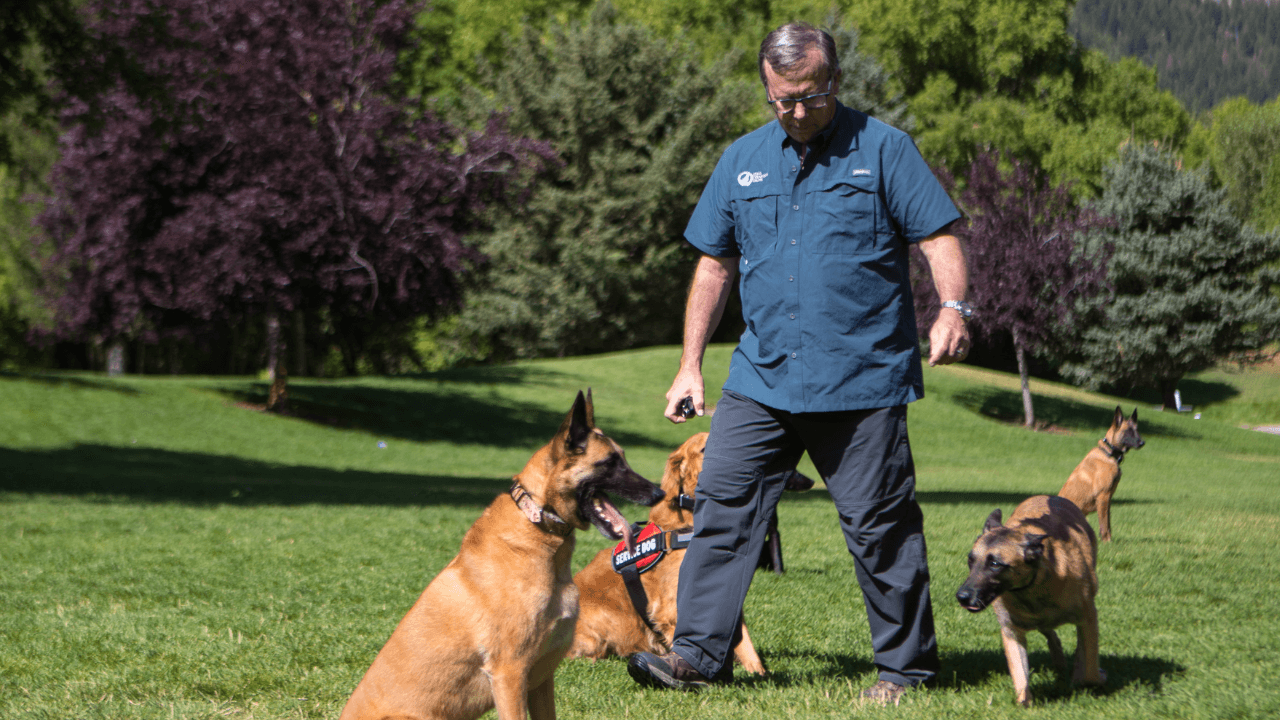 Dog Training Elite Seeks Franchisees for Philadelphia as CEO Betsy Feaster Sells Local Territories